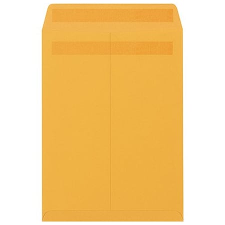 Bsc Preferred 10 x 15'' Kraft Redi-Seal Envelopes, 250PK EN1054